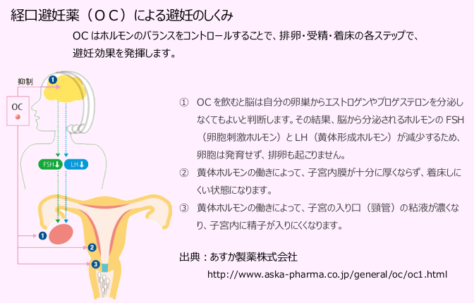 板倉病院 いたくらコラム 経口避妊薬 低用量ピル について